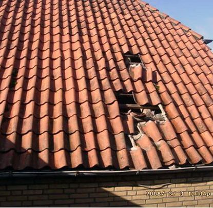 Dachreparatur Silberstedt